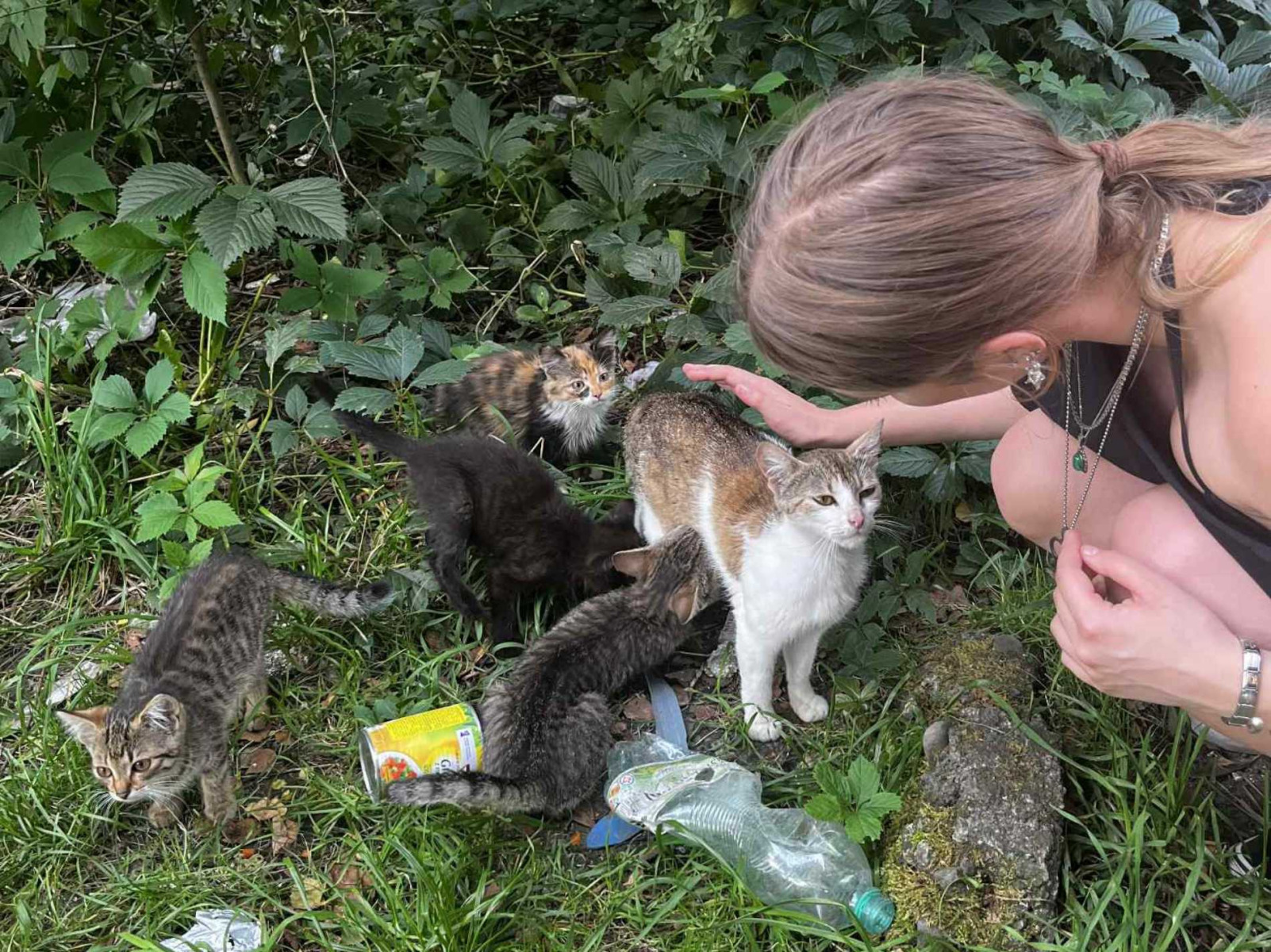 Pomóż czworonogom w Międzynarodowy Dzień Psa