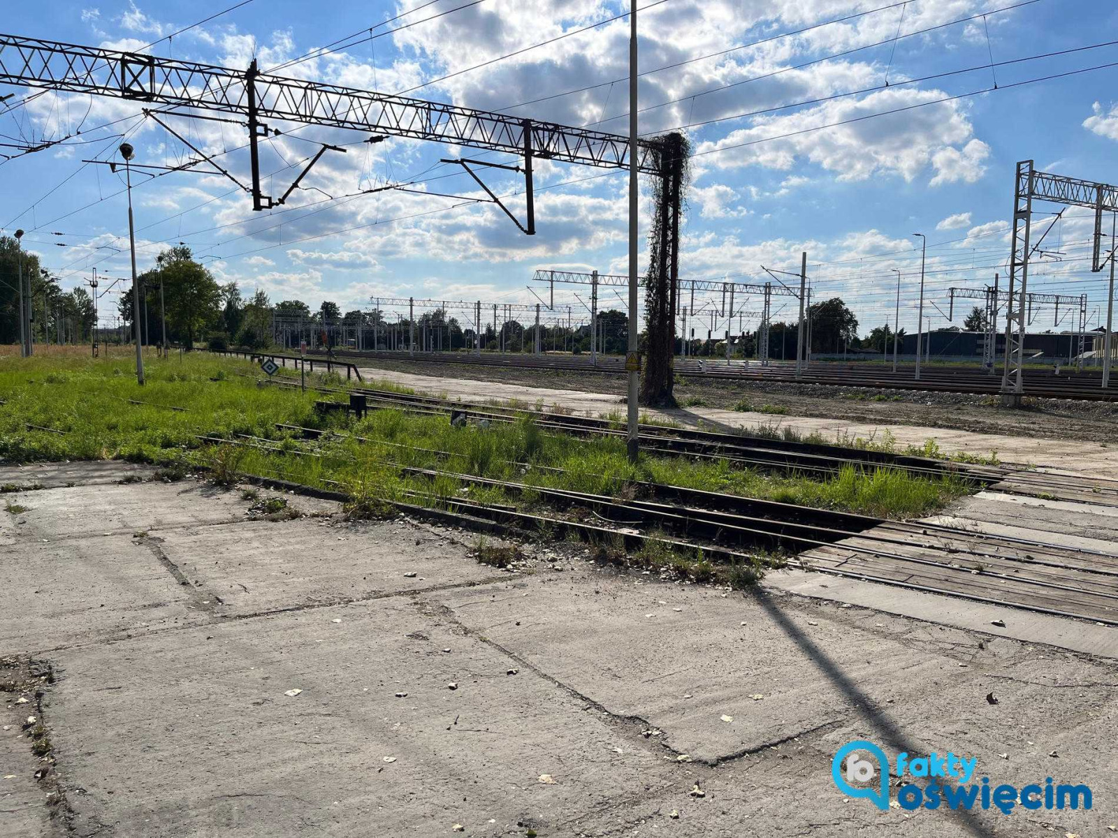 Wyburzenia na Orzeszkowej i Wyzwolenia – FOTO