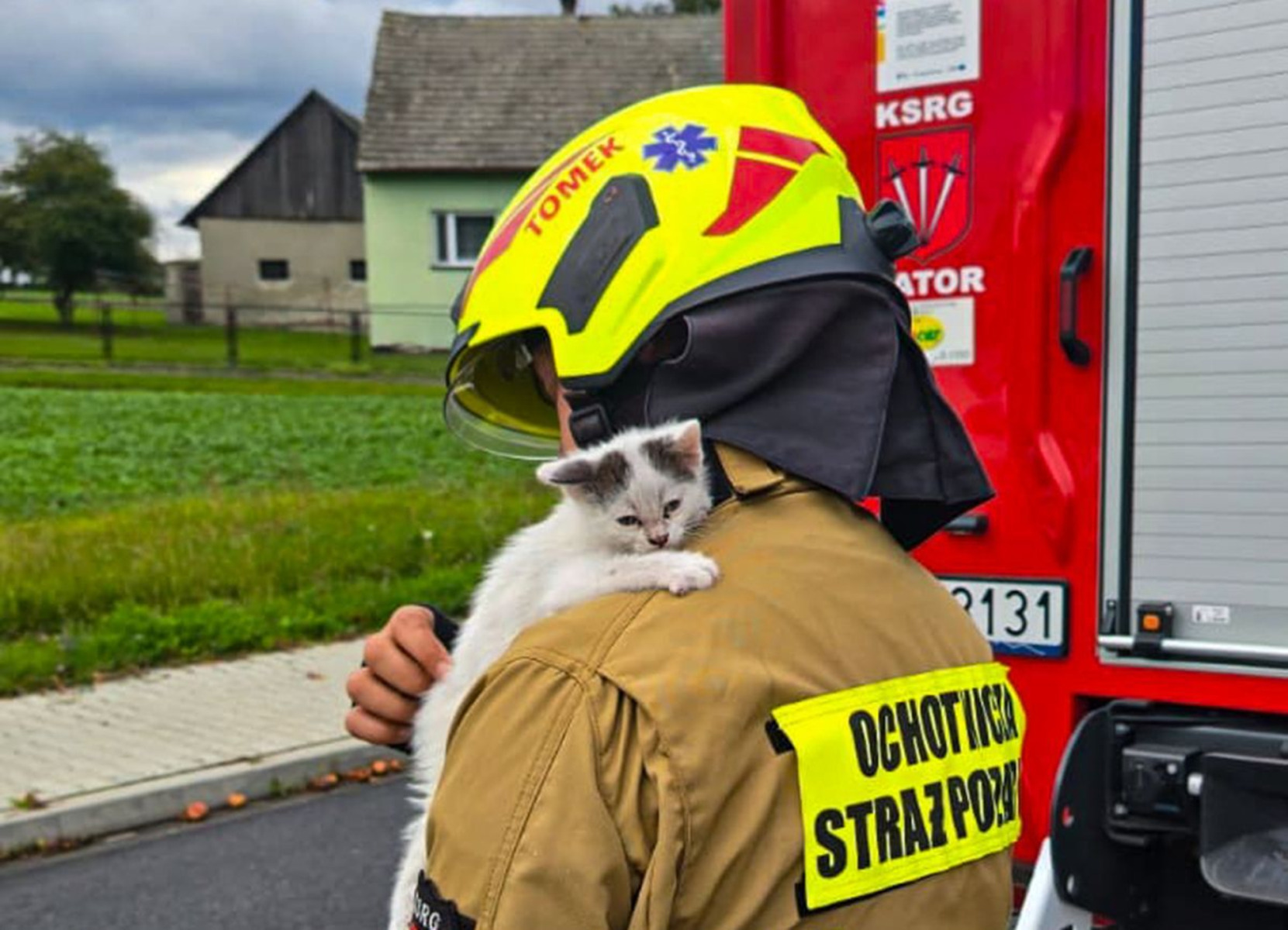 Druhowie pomogli przestraszonemu zwierzakowi