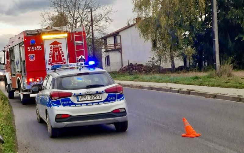 Pijana uderzyła w Elkę i uciekła. Inni też jechali po alkoholu