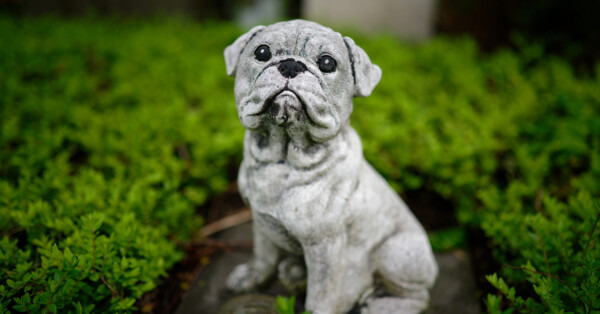 Mieszkanka Zaborza chce stworzyć cmentarz dla zwierząt