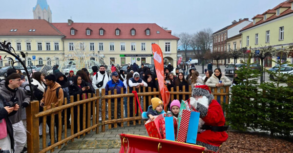 Renifery i miejska choinka. Mikołaj już przyjechał - FOTO