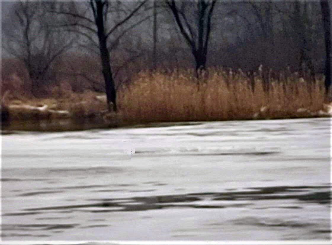 Skakali po zamarzniętej rzece