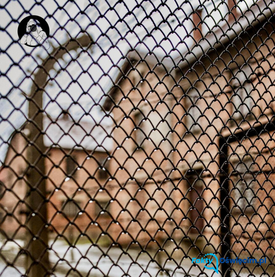 Koniec kolejek pod bramą. Karty wstępu do Miejsca Pamięci tylko w internecie - FOTO