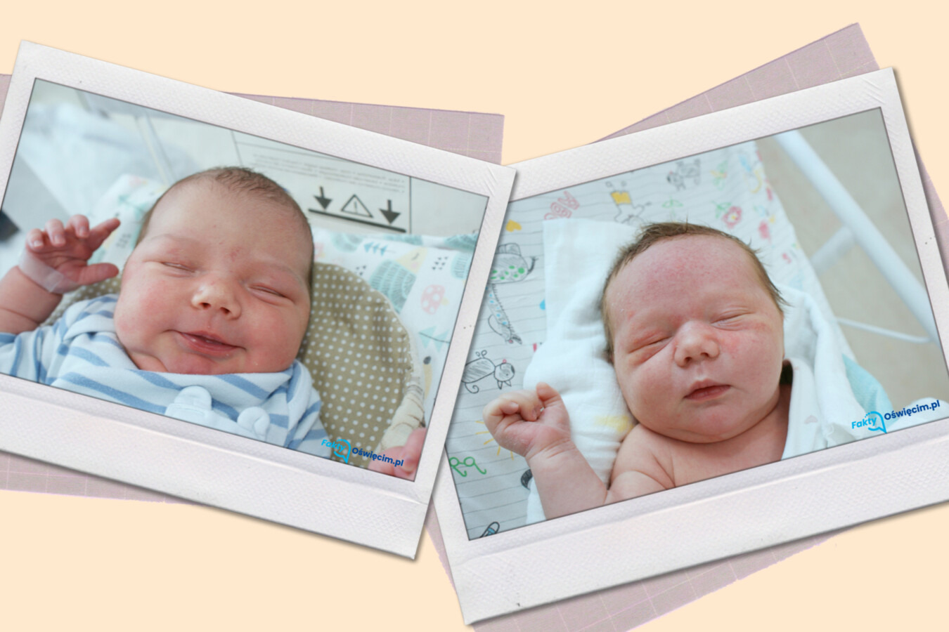 W pustyni i w puszczy w Oświęcimiu