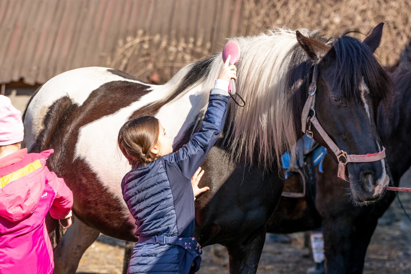 Wielkanocne zajęcia dla dzieci w stajni Ikarion - FOTO