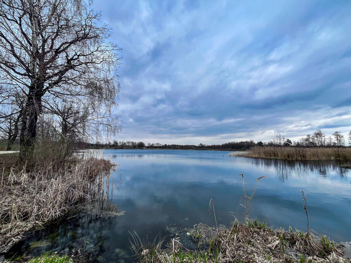 Wiosna na chwilę odpuści. Nadchodzą przymrozki