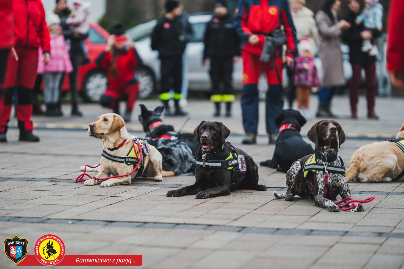 Wsparcie dla kęckich druhów