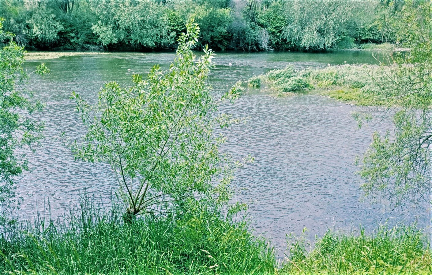 Zwłoki wędkarza w Babicach