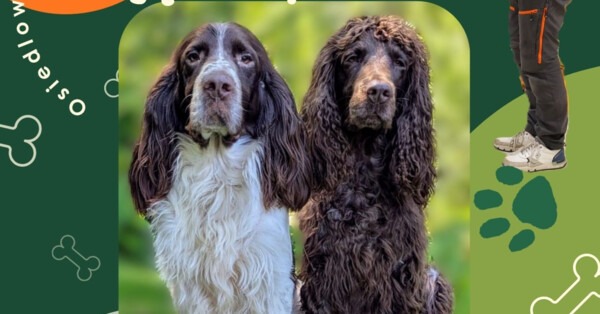 Dogoterapia, czyli zajęcia z psem
