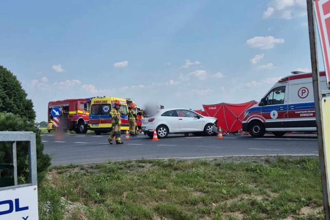 Śmiertelny wypadek na drodze krajowej. Nie żyje 75-letni mężczyzna - FOTO