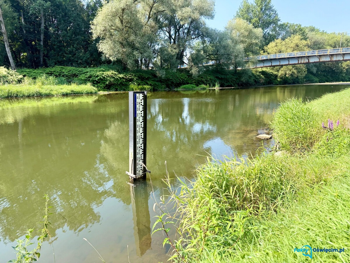 Zwiększony zrzut wody ze zbiornika w Czańcu. Wzrośnie jej przepływ w Sole