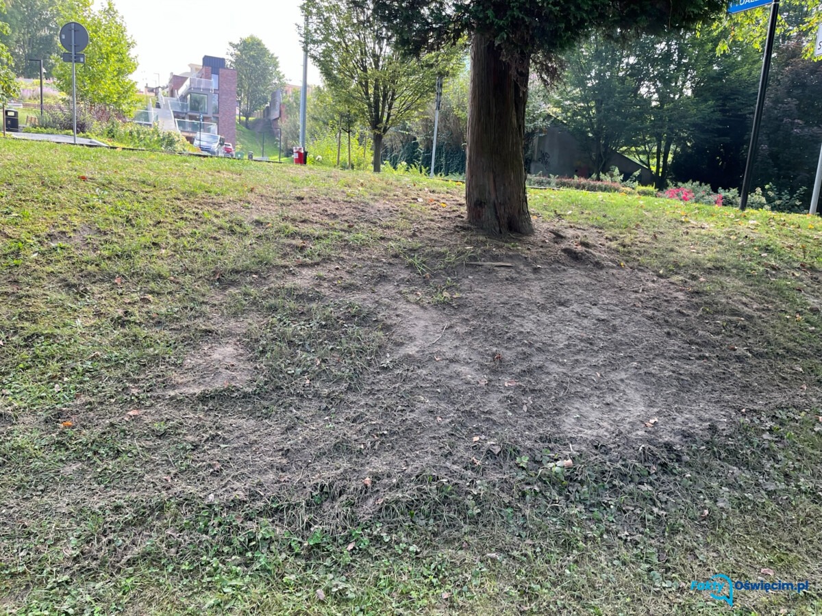 Kosiarka zryła ziemię na Bulwarach. Miasto wstrzymało zapłatę - FOTO