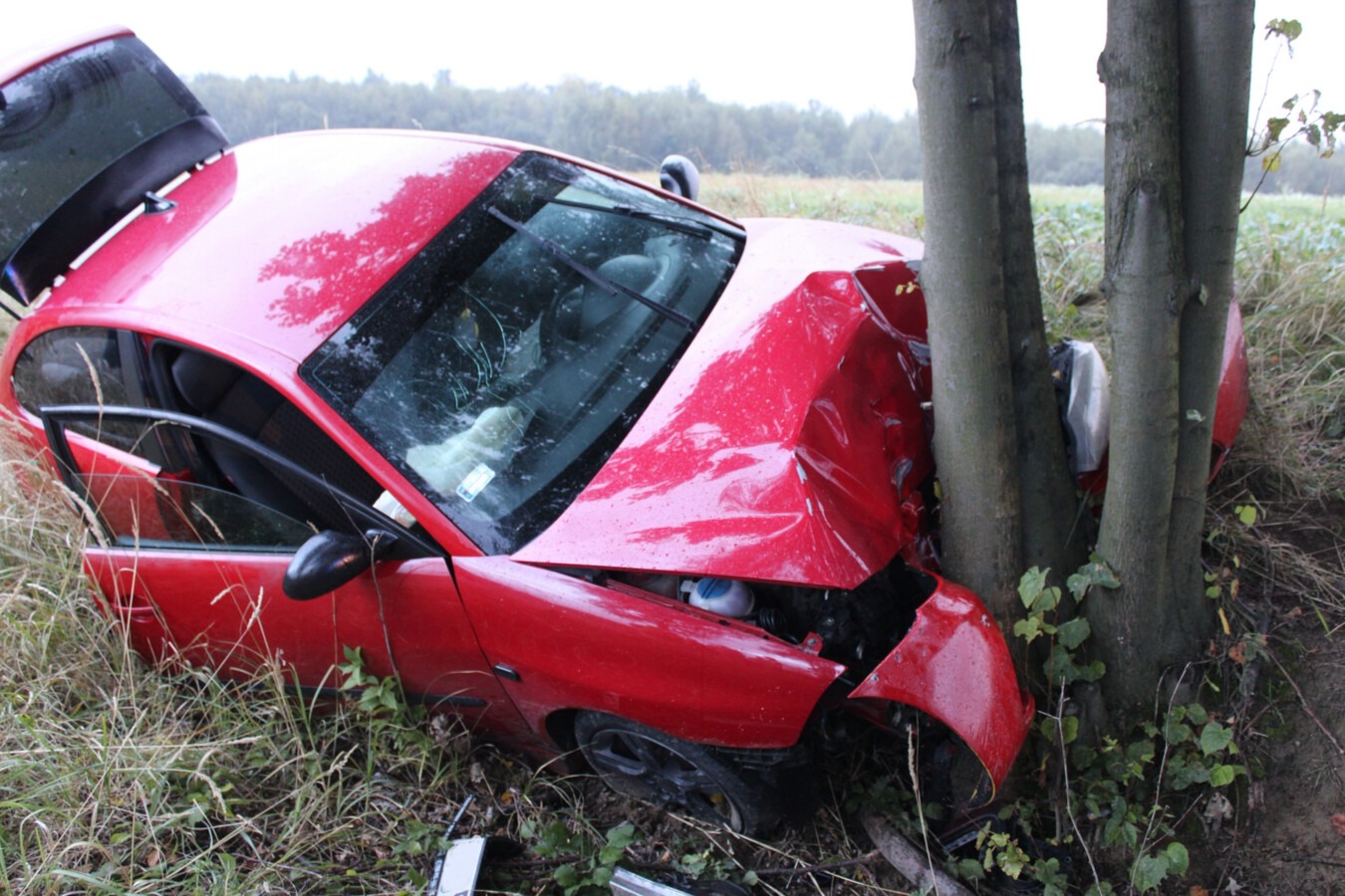Seat uderzył w drzewo, Hyundai dachował. Kierowcy po narkotykach i alkoholu - FOTO