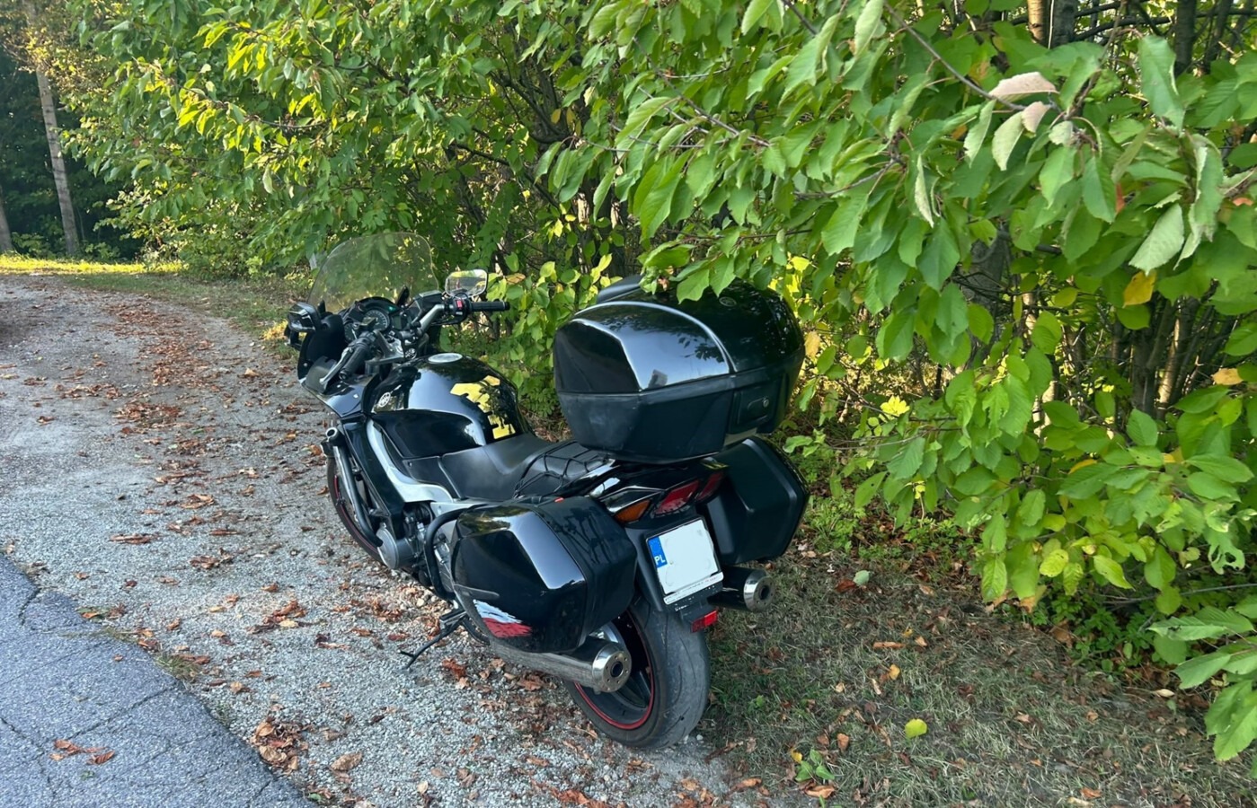 Sarna uderzyła w motocykl. Kierowca ranny, zwierzę nie przeżyło