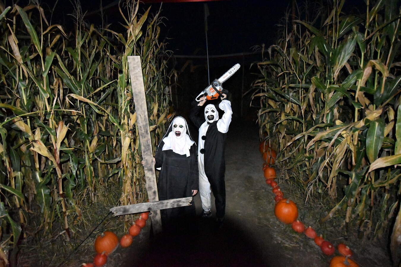 Po zmroku zaczyna się horror. Labirynt zmienia oblicze - FOTO