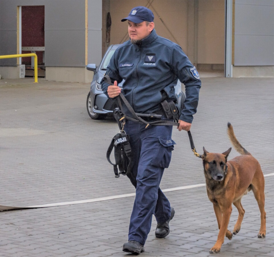 Nemo stanął na wysokości zadania i odnalazł seniora zaginionego w lesie