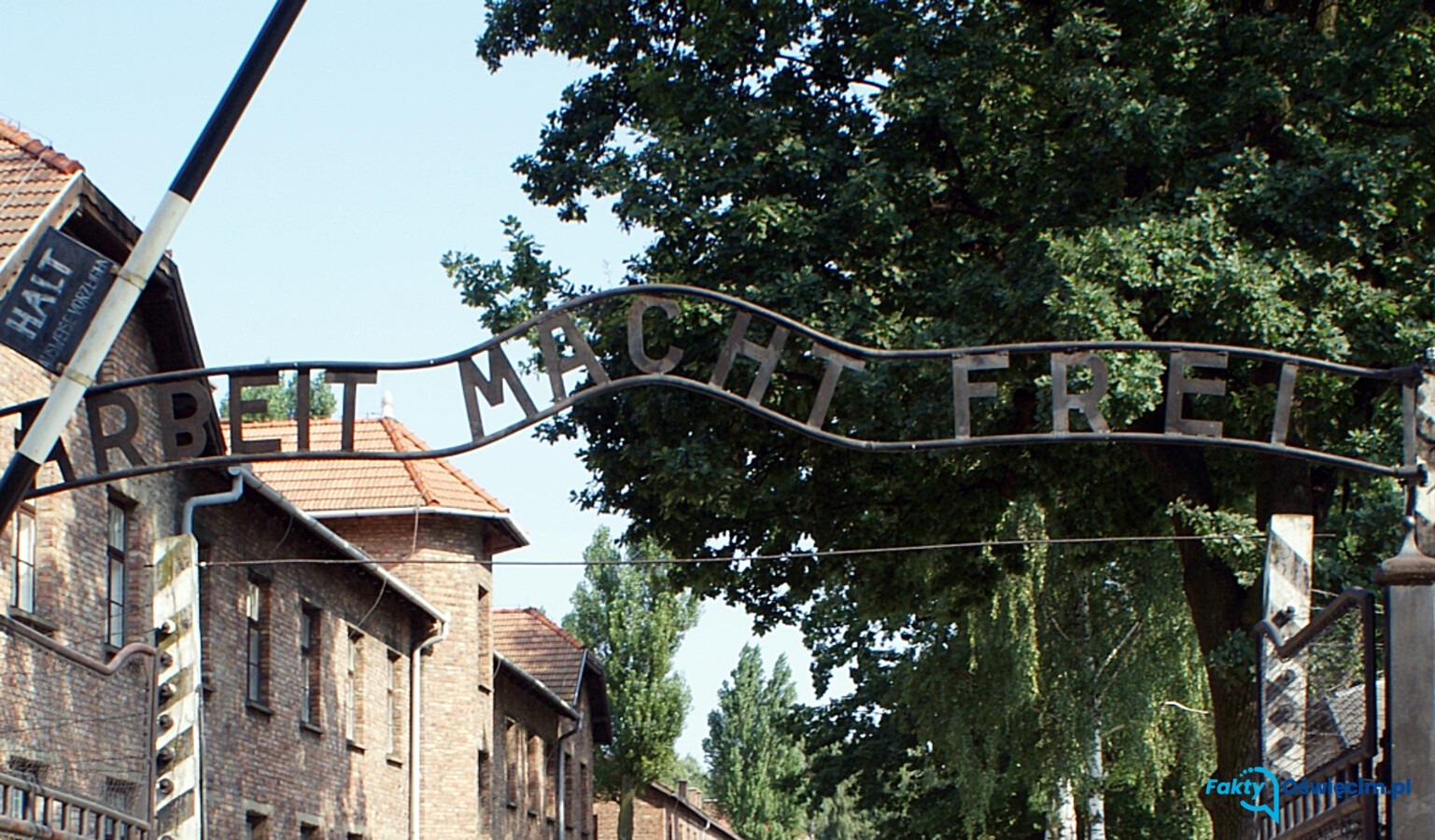 Kolejny obcokrajowiec hajlował w muzeum Auschwitz, pozując do zdjęcia