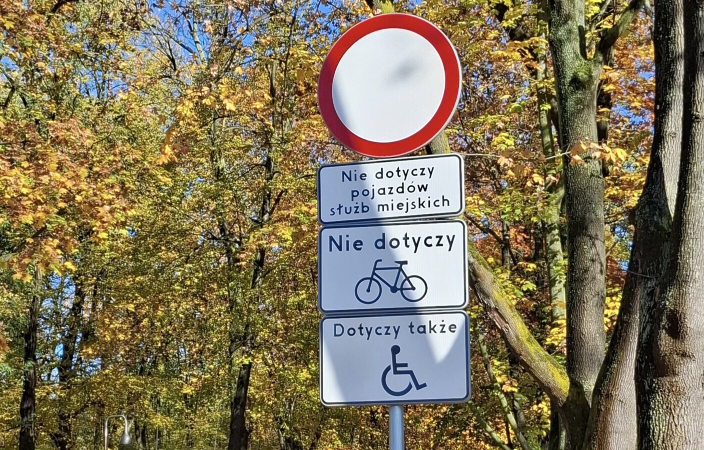 Hulajnogi elektryczne mają zakaz wjazdu na Bulwary