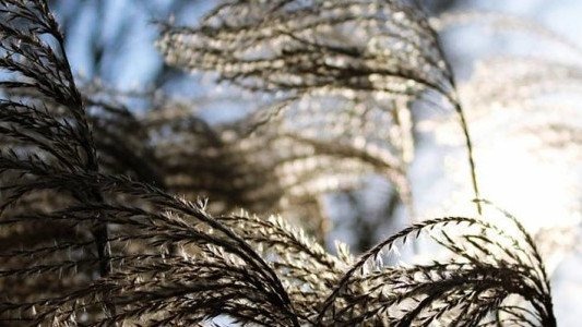 Silny wiatr, nawet do 75 km na godz. – FILM