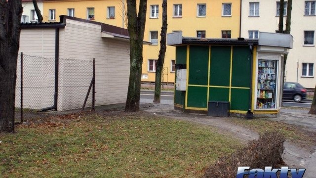 Śmieciowy cwaniaczek – FELIETON