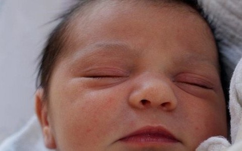 Ósemeczka maluchów przeżyje swoją pierwszą Wielkanoc – FOTO