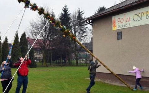 Zwyciężyła włosienicka dziewięciometrowa palma – FOTO