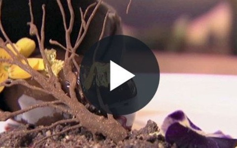 Jak powstaje czekolada?