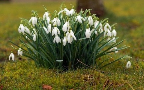 Pogoda na poniedziałek