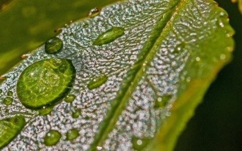 Początek tygodnia deszczowy