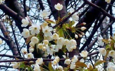 Wtorek z przelotym deszczem. Kolejne dni pogodniejsze