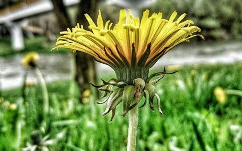 Środa z lekkim deszczem. W kolejnych dniach więcej słońca