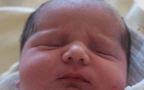 Wiosenne maluchy – witamy wśród nas – FOTO