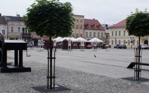 Miasto szuka przewodników