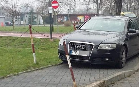 Karne Łosie tam, gdzie jeżdżą karetki – FOTO