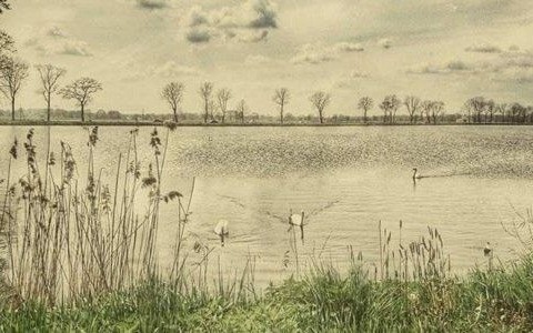 Środa pogodowo nieciekawa – FILM