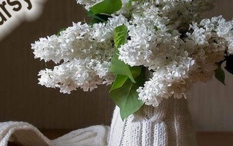 Prześlij zdjęcie bzu i powalcz o nagrody