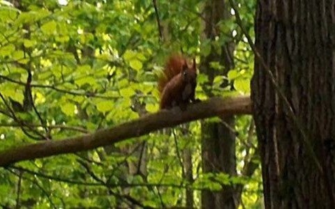 Będzie ciepło i wietrznie – FILM