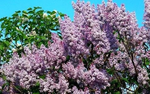 Czeka nas bezchmurny czwartek