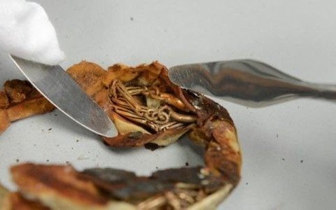 Niezwykłe znalezisko z Auschwitz po 70 latach – FOTO