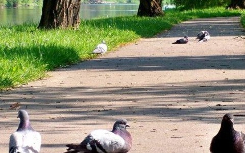 Prognoza pogody – 1 czerwca – FILM