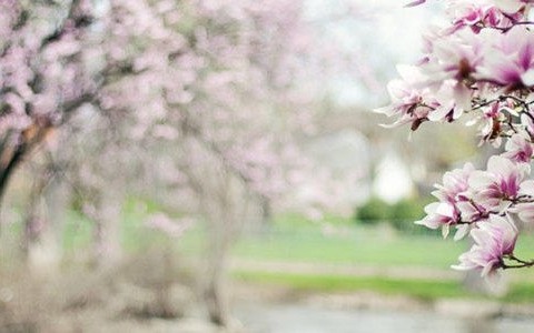 Pogoda na poniedziałek 6 czerwca – FILM