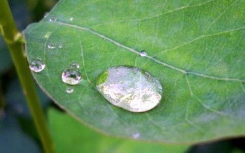 Pogoda na środę – FILM