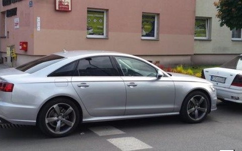 Karny Łoś – wypasiony i głodny