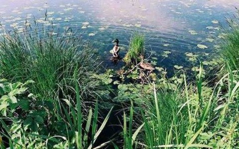 Prognoza pogody na weekend – FILMY