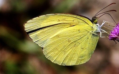 Pogoda na najbliższe pięć dni