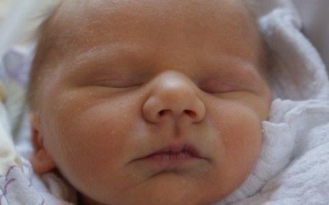 Lilka, Natka, Wiki, Filip i Olek – FOTO