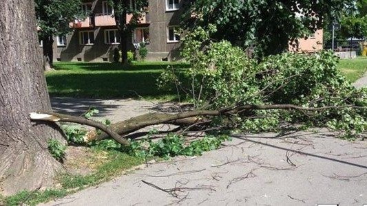 Strażacy wyjeżdżali 13 razy