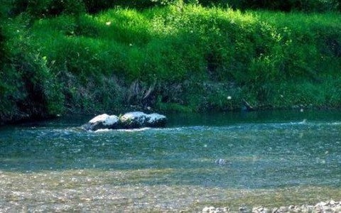 Niedziela będzie słoneczna – FILM