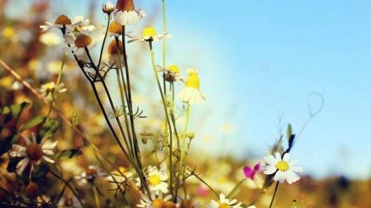 Pogoda na weekend – FILMY